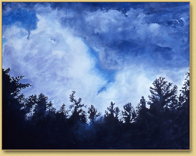 Adirondack Treeline 